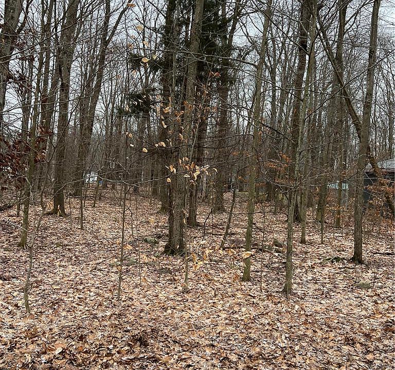 1st image of Edelweiss Way Lots #809-810