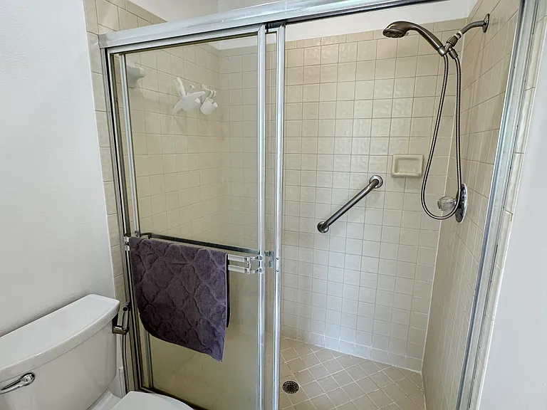 Master bathroom shower and toilet