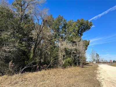 SE 148th Ter LOT 8, Morriston, FL, 32668