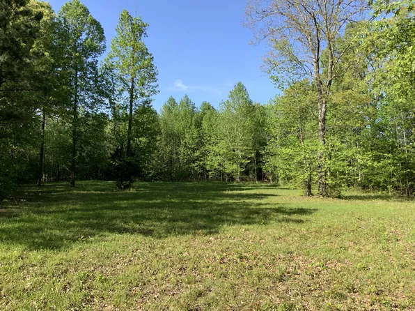 0 Manleyville Rd, Springville, TN 38256