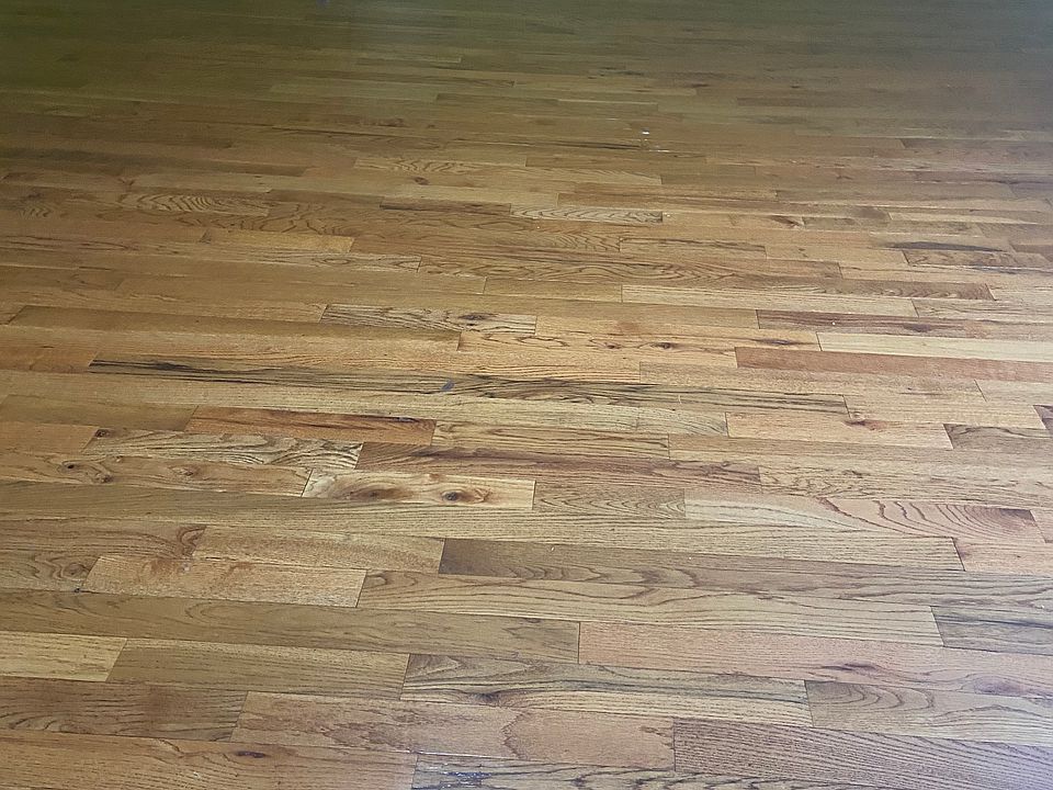 2nd image of 8042 89th Ave Floor 3