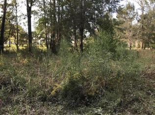 1000 Albert Storm Ave, Moncks Corner, SC 29461