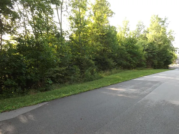 Smokey Quartz Blvd, New Tazewell, TN 37825