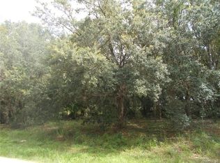 234 E Imree Ln, Citrus Springs, FL 34434