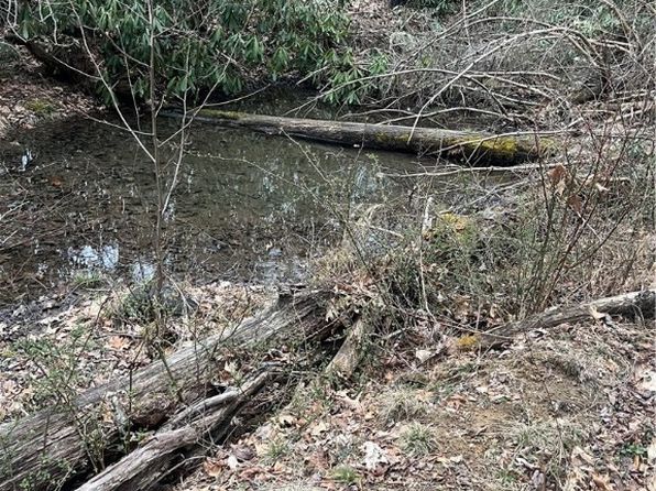TBD Rominger Road, Banner Elk, NC 28604