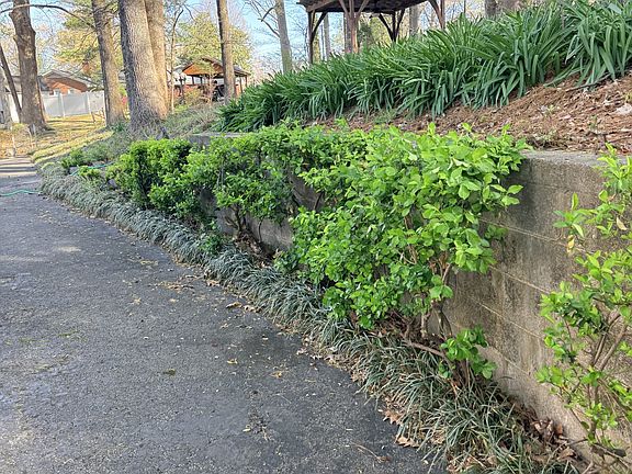 4th image of 261 Lackey Ln