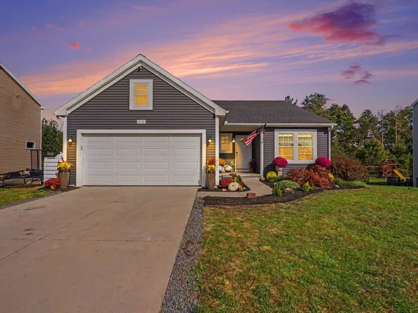 14541 Bigleaf Dr, West Olive, MI 49460