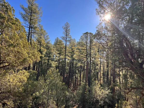 0 N Fawn Dr, Pine, AZ 85544
