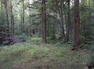 9304 Bear Hollow Rd, Lowville, NY 13367