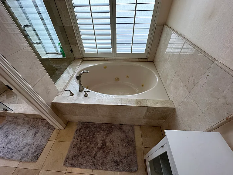 Master Tub