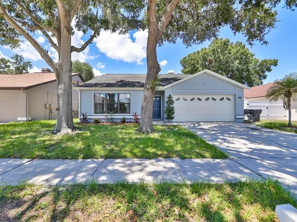 11415 Smokethorn Dr, Riverview, FL 33579