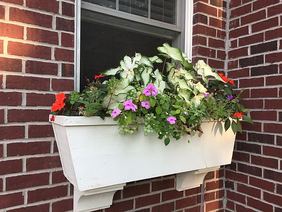 Window boxes