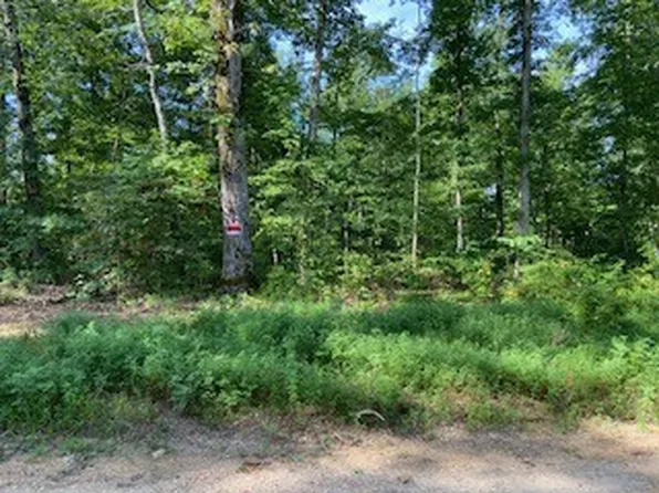 0 Haist Rd, Hohenwald, TN 38462