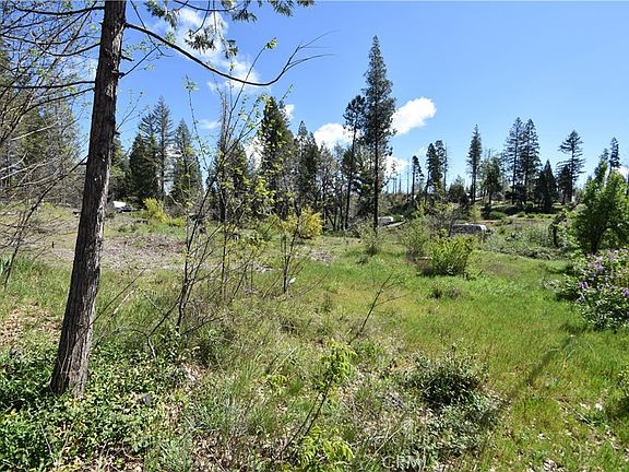 4th image of 6 Sugar Pine Dr Lot 64
