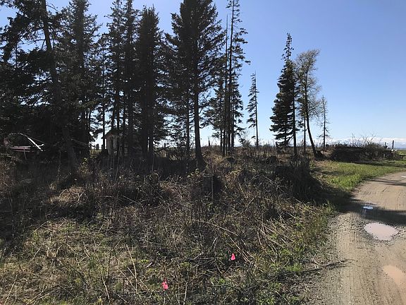 2nd image of 19355 Sterling Hwy