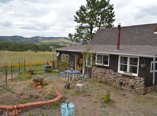338 Deer Ln, Guffey, CO 80820