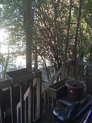 Rented by Grand & Co. | media 15