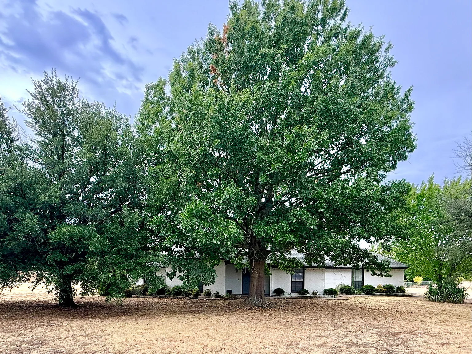 3 bed, 1730 sqft, $3,100 — Photo 2