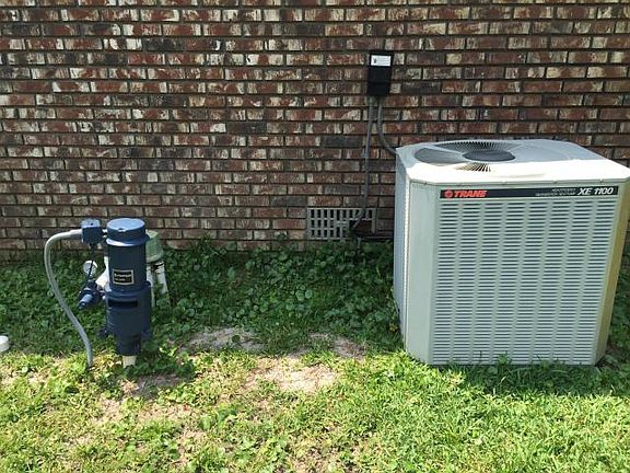 5th image of 141 Rainbow Dr