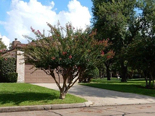 3rd image of 810 Garden Walk Dr