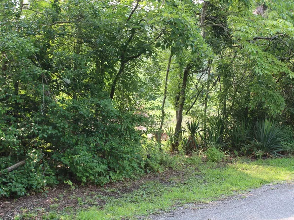 Craig Loop, Pulaski, VA 24301