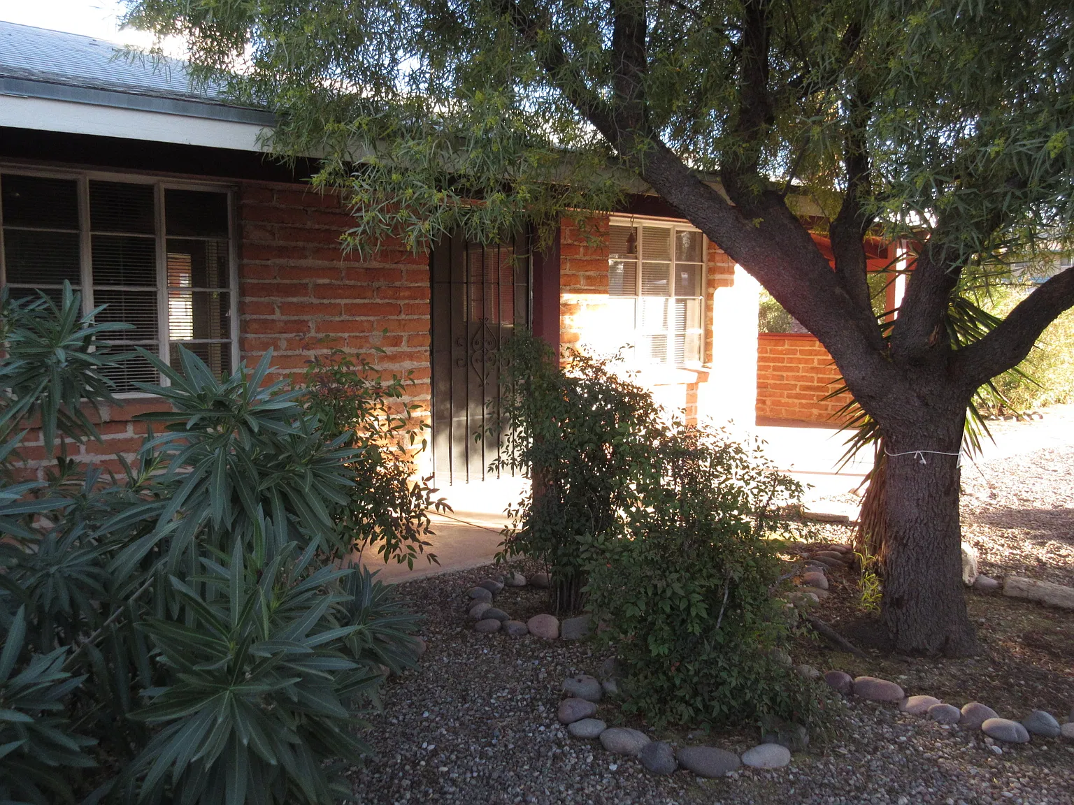 1 bed, 600 sqft, $895 — Photo 1