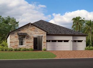 13377 Palmerston Rd, Riverview, FL 33579