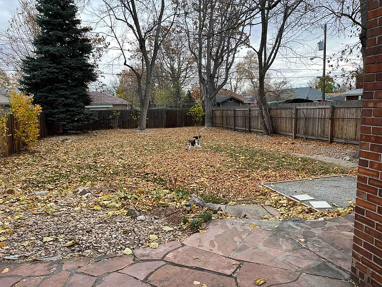 Enormous Yard. The entire property is 8100 sqft