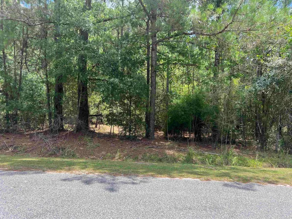 TBD Ervin Road Ervin Rd., Andrews, SC 29510