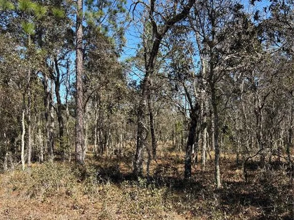 Tba Southeast Ct #135, Dunnellon, FL 34431