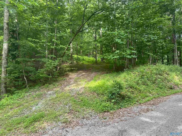 LOT 9 Green Valley Rd, Owens Cross Roads, AL 35763