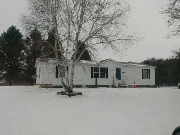 18450 1st St, Big Rapids, MI 49307