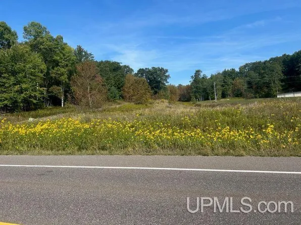 LOT 1 Lake Antoine Rd, Iron Mountain, MI 49801
