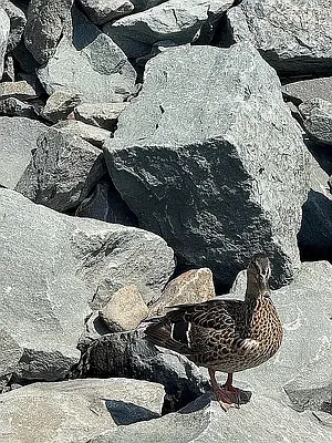 Outdoor, photo 2