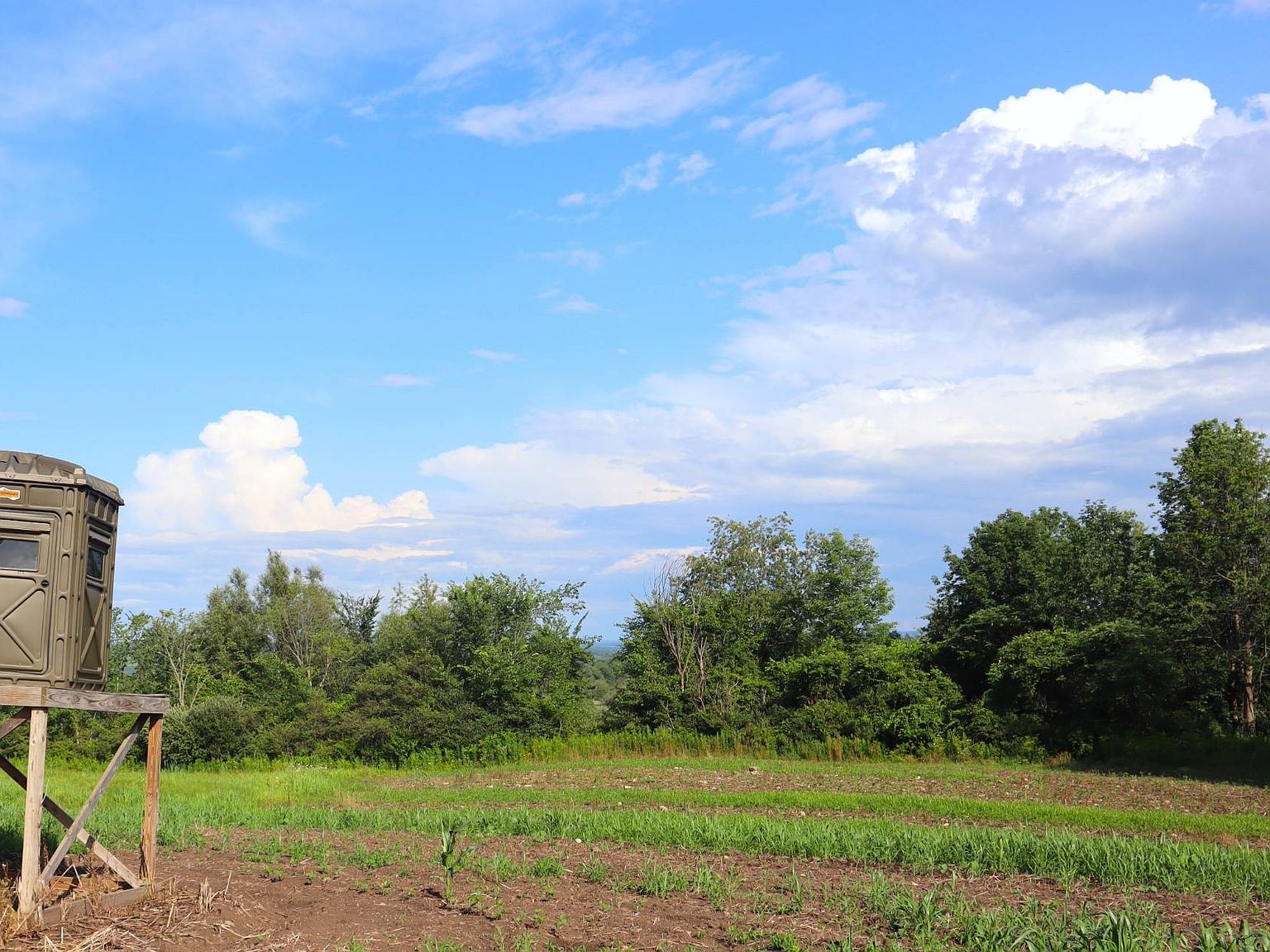 0 Lewis Rd, Fort Plain, NY 13339 MLS 11194886 Zillow