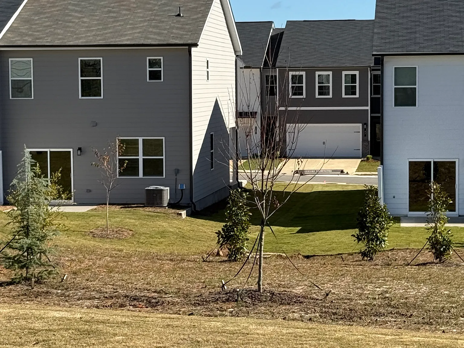 3 bed, 2.5 bath, 1842 sqft, $2,100 — Photo 2