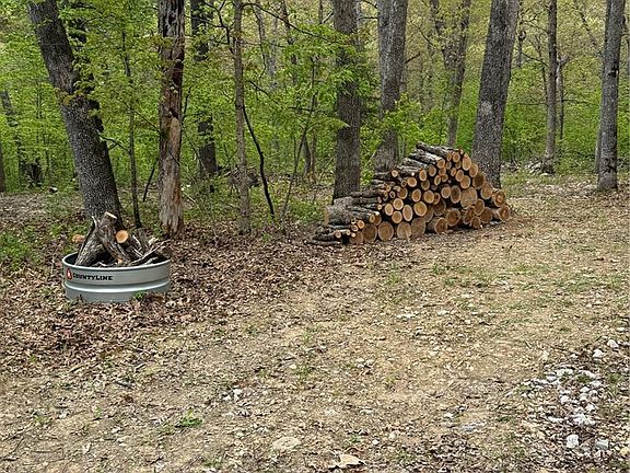 4th image of 28 Clarence Cannon Ln