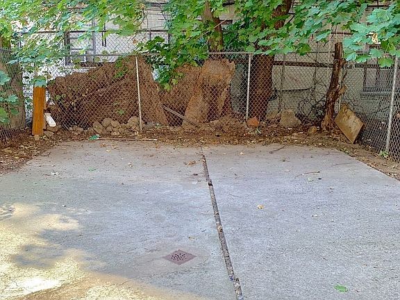 3rd image of 406 E 21st St #1