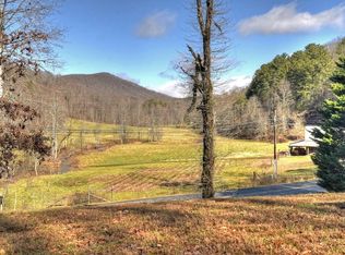 10266 Boardtown Rd, Cherry Log, GA 30522