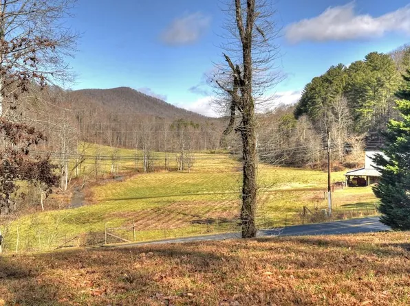 10266 Boardtown Rd, Cherry Log, GA 30522