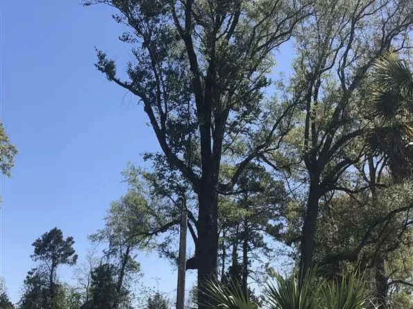 1451 Old Woodville Rd, Crawfordville, FL 32327