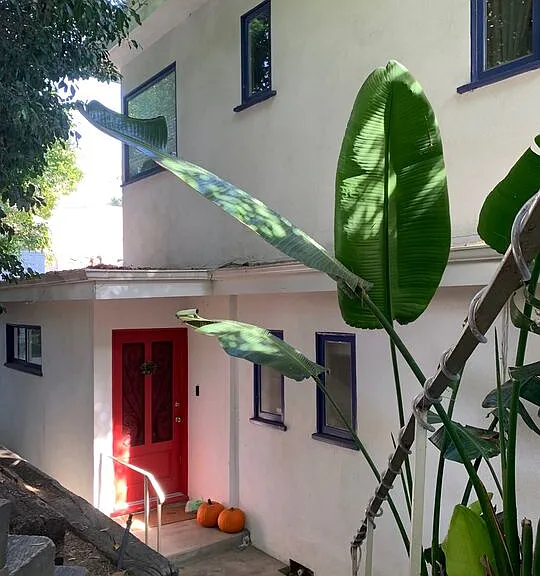 6216 Temple Hill Dr — Photo 2