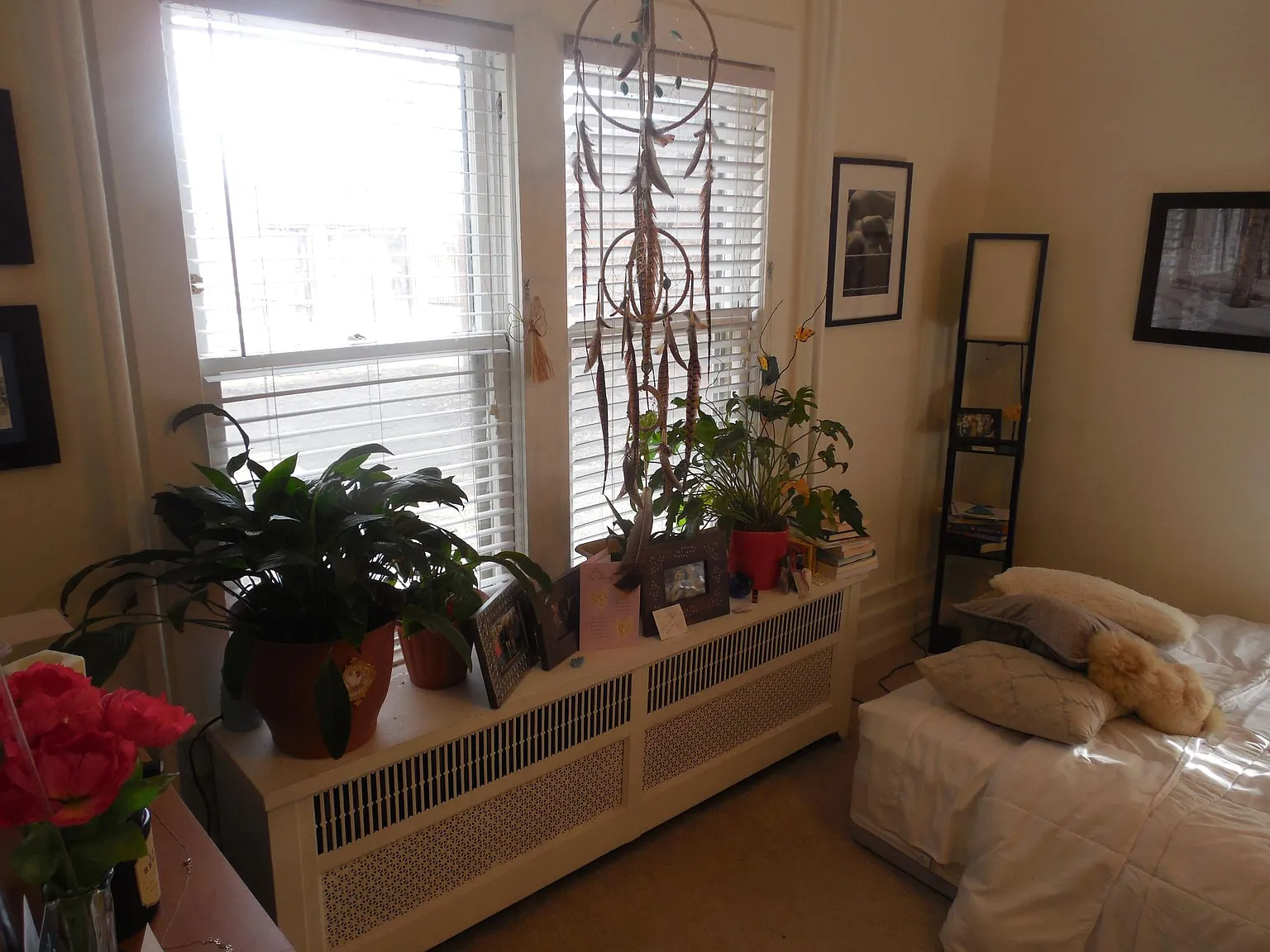Studio, $725 — Photo 3