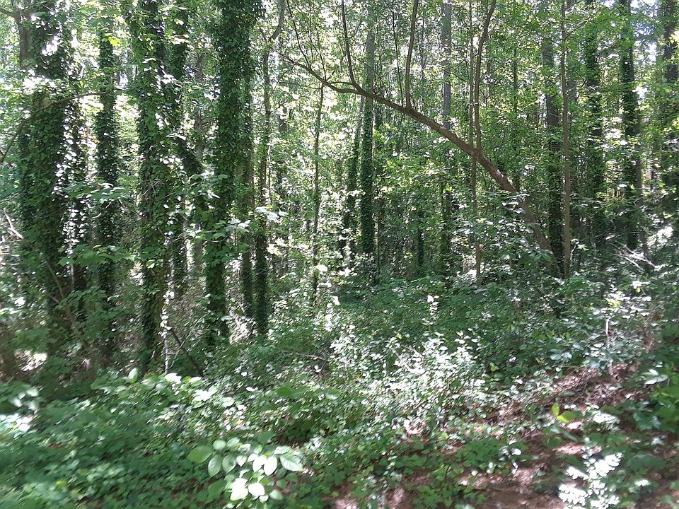 2nd image of 0 Betty Ln