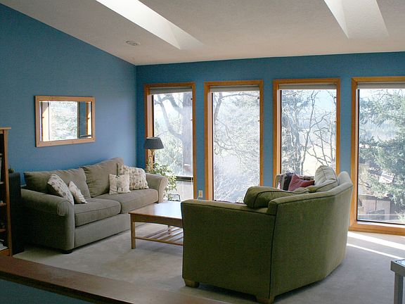 Living Room Windows