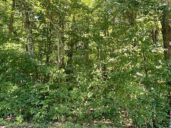 4th image of 0 Hilldale Church Rd Lot 8