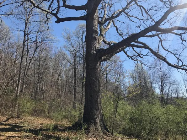 0 N Lee Hwy, Fairfield, VA 24435