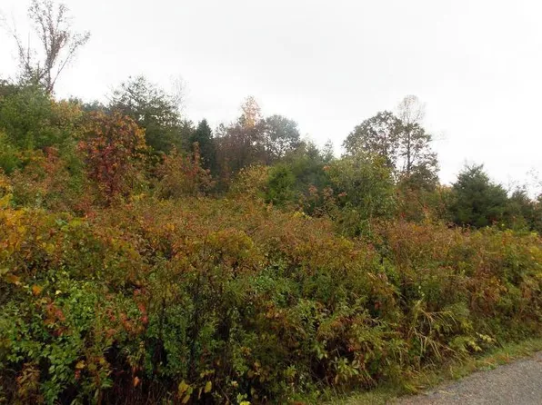 128 Jd Farm Rd, Tellico Plains, TN 37385