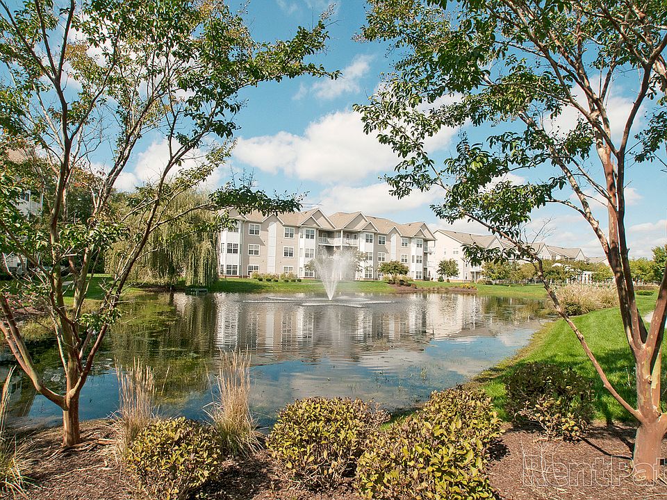 Pond