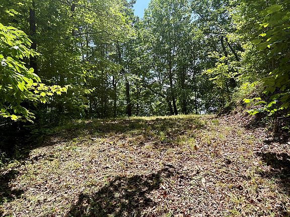 5th image of 70 Eagles Roost